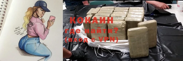 гашик Покров