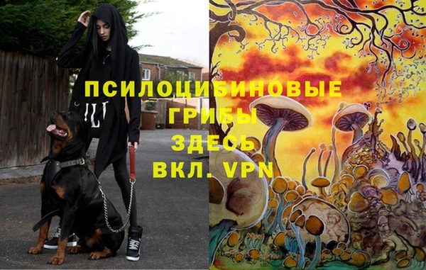 гашик Покров