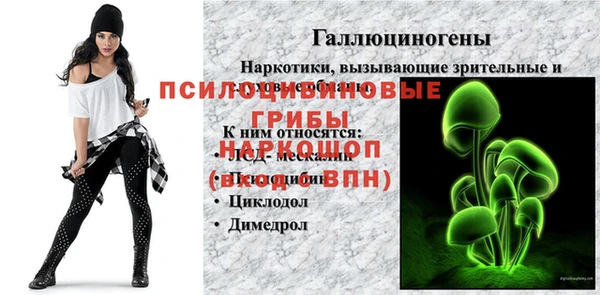 гашик Покров