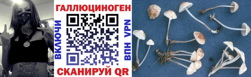 Псилоцибиновые грибы ЛСД  Сафоново 